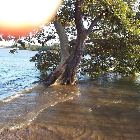 Niduwari Lake Homestay Dambulla Bagian luar foto