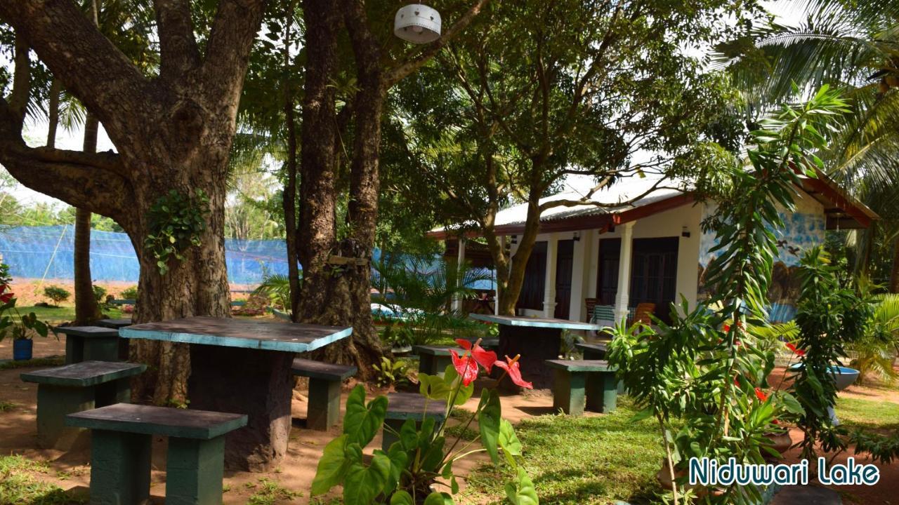 Niduwari Lake Homestay Dambulla Bagian luar foto