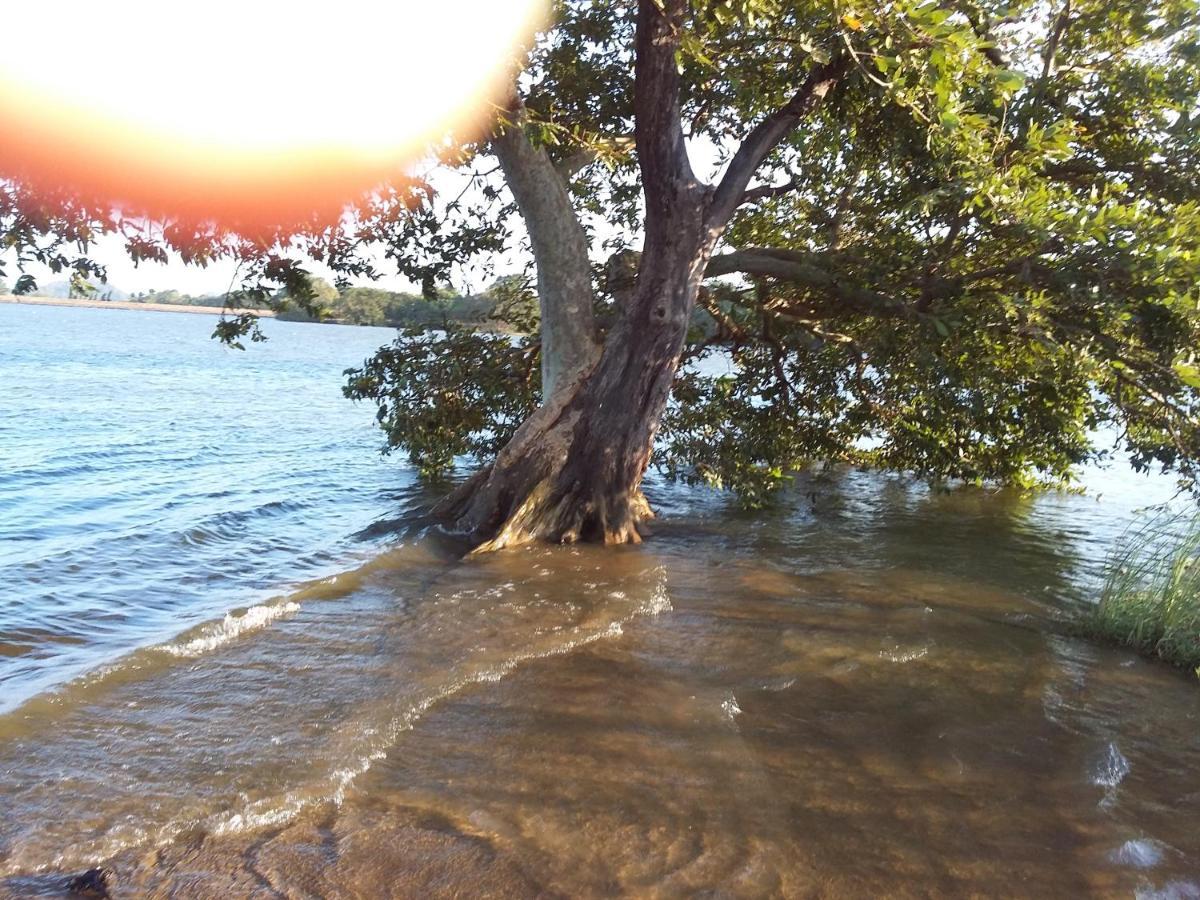 Niduwari Lake Homestay Dambulla Bagian luar foto